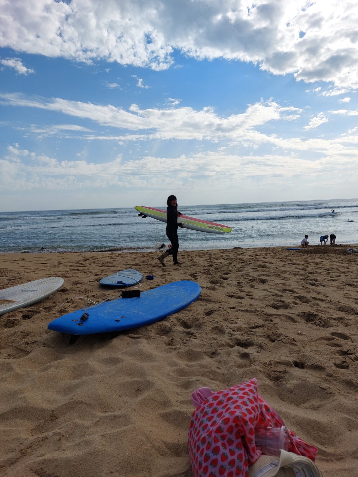 les landes helvoyageur
