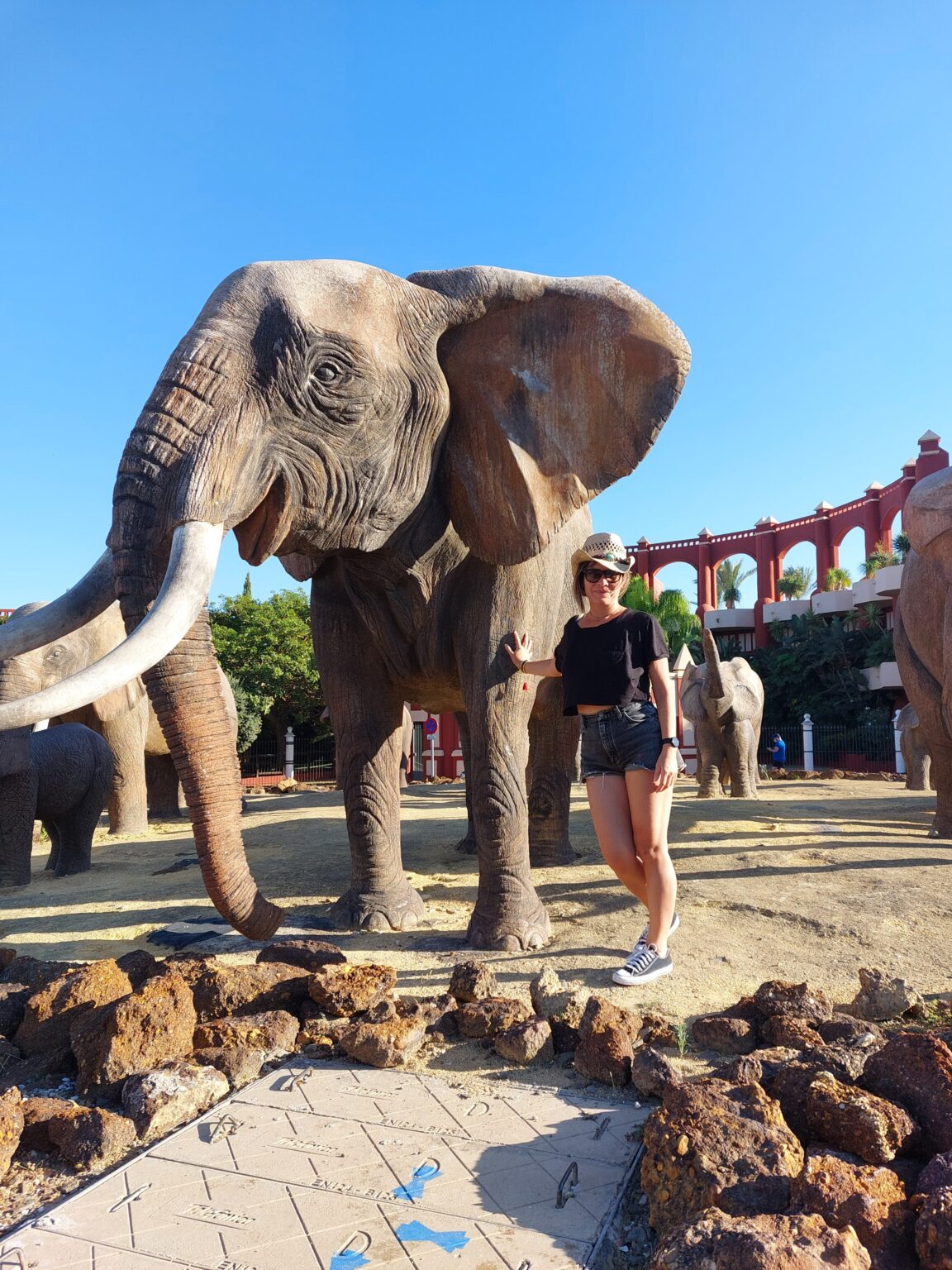 elephant aout helpvoyageur