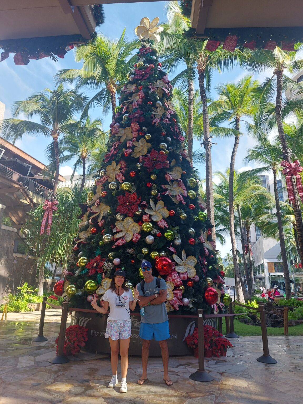 noel Hawaii helpvoyageur