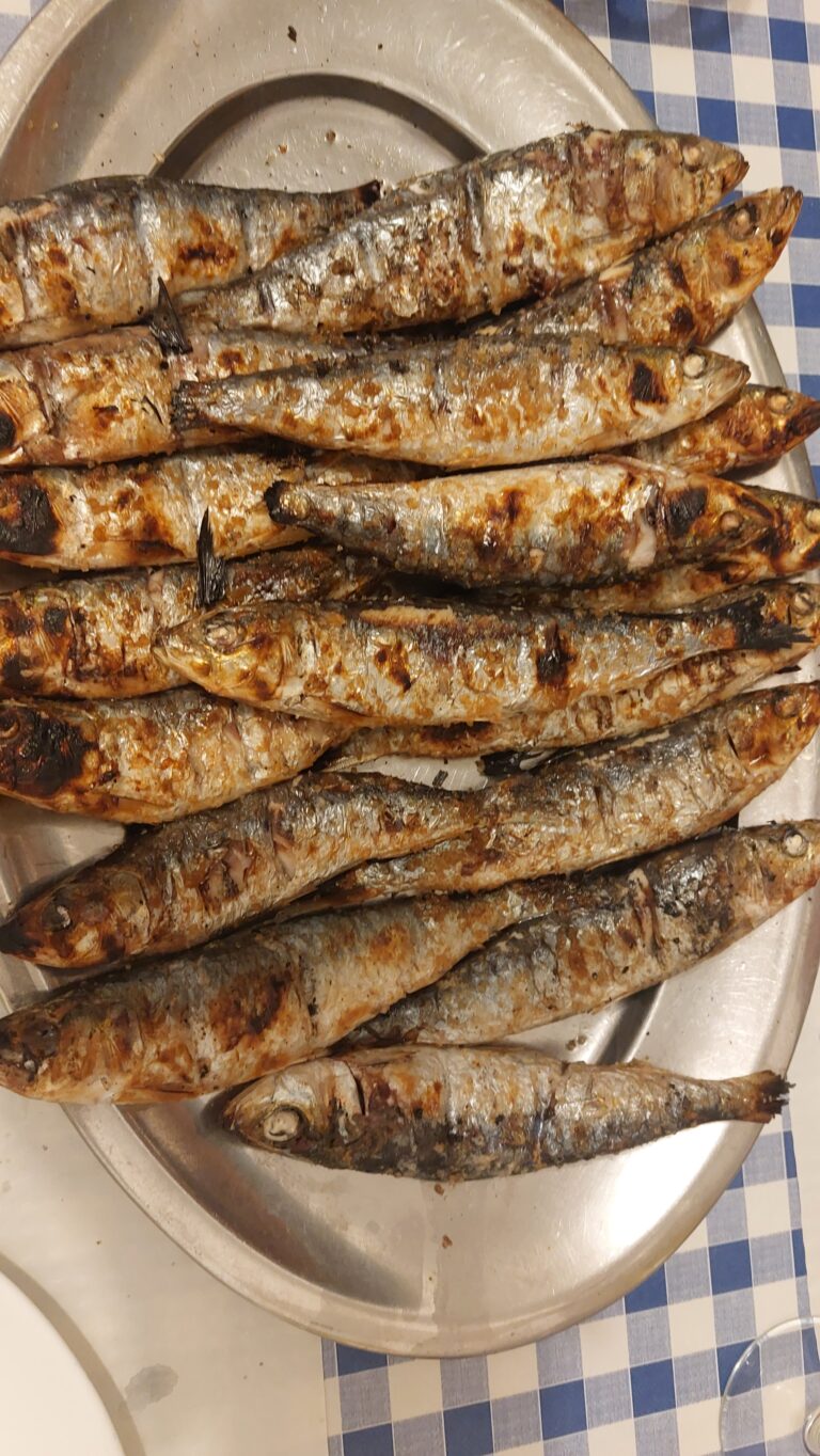 sardine Portugal helpvoyageur